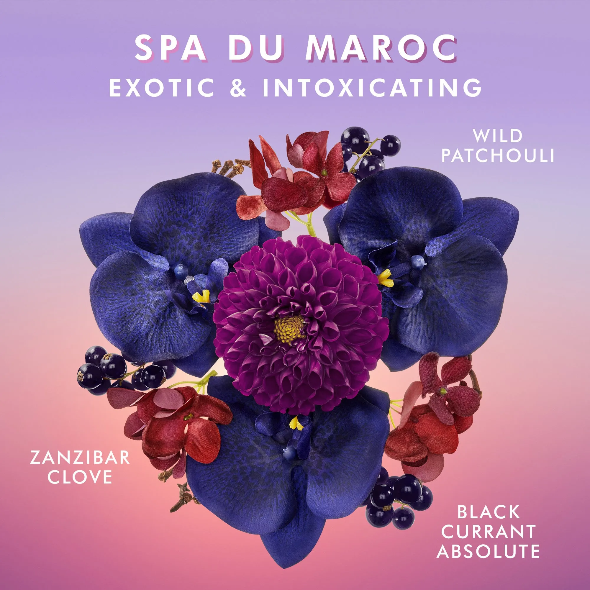 Moroccanoil Hand Cream Spa du Maroc 40ml