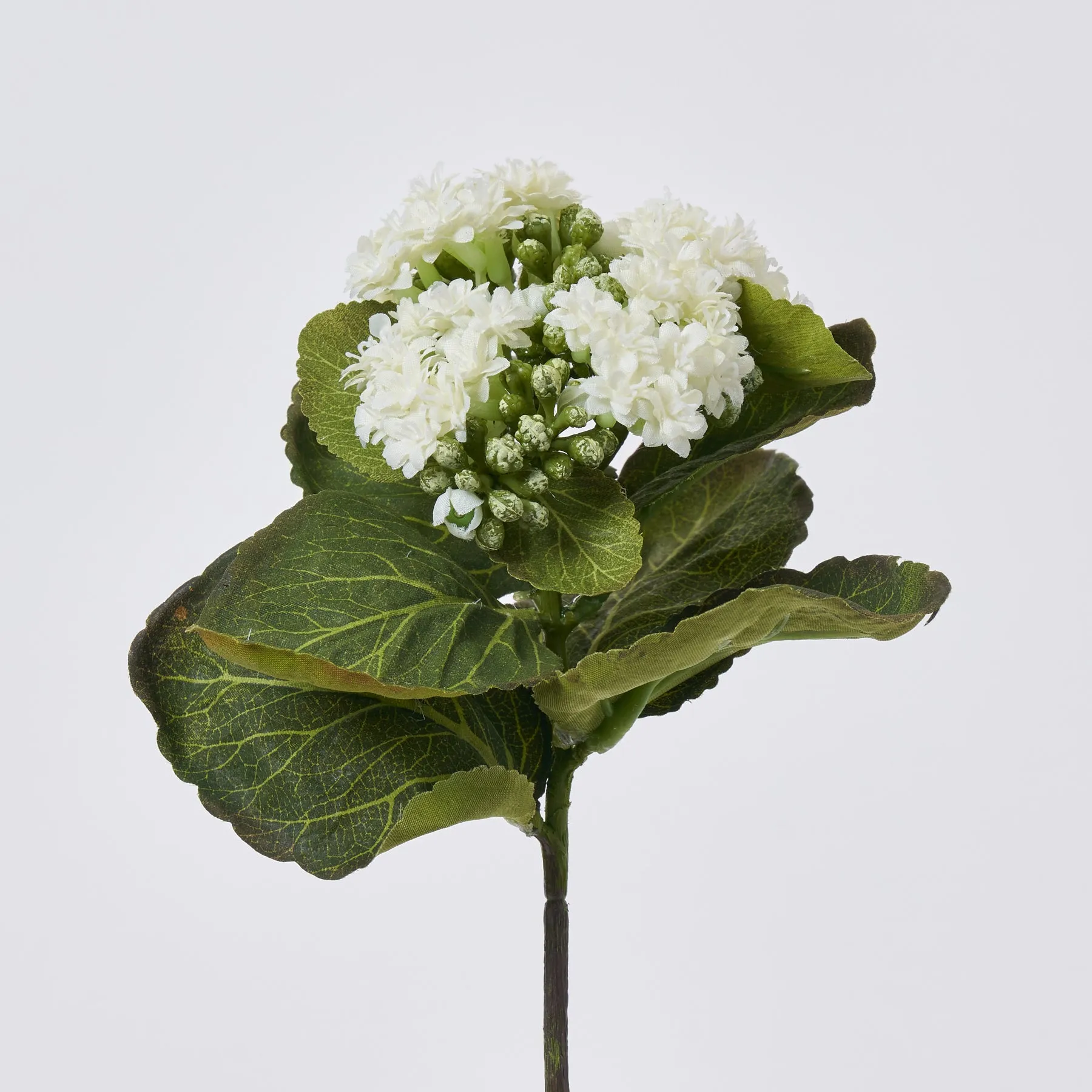 White Silk Kalanchoe Bush Plant Spray - 8"